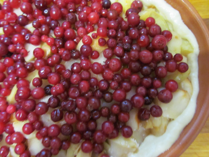 Творожно-дрожжевой пирог с яблоками, корицей, брусникой, миндалем и стевией! "мой юбилейный" !!!: шаг 4