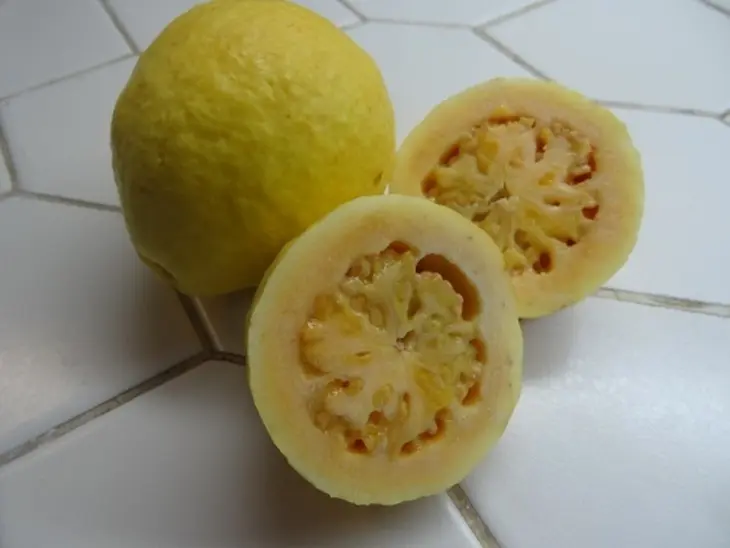 Тунец с ароматом гуавы на гриле: шаг 4
