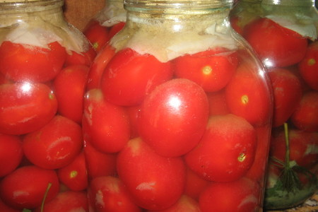 Соленные, ядреные, бочковые помидоры из банки: шаг 4