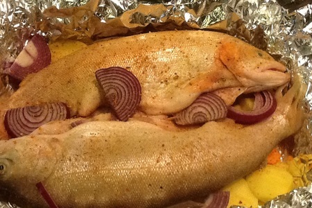 рыба янтарная рецепты приготовления. Смотреть фото рыба янтарная рецепты приготовления. Смотреть картинку рыба янтарная рецепты приготовления. Картинка про рыба янтарная рецепты приготовления. Фото рыба янтарная рецепты приготовления рыба янтарная рецепты приготовления. Смотреть фото рыба янтарная рецепты приготовления. Смотреть картинку рыба янтарная рецепты приготовления. Картинка про рыба янтарная рецепты приготовления. Фото рыба янтарная рецепты приготовления