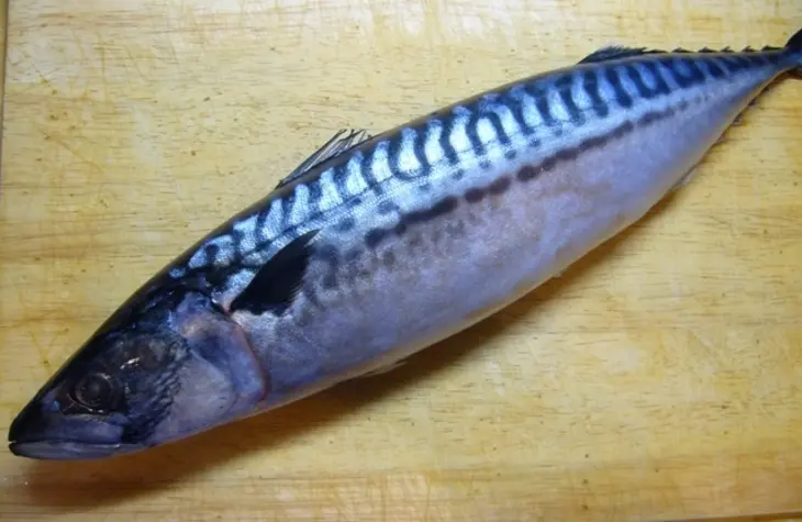 Скумбрия, запеченная с черносливом «fishка»: шаг 1