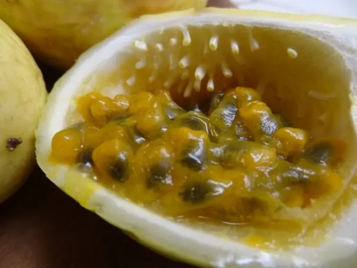 Индейка в маринаде с маракуйей и клюквенным соусом: шаг 4