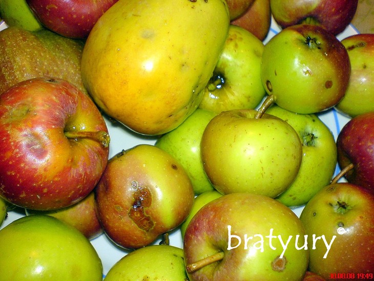 Шарлотка из свежайших диких яблок с грецкими орехами: шаг 2