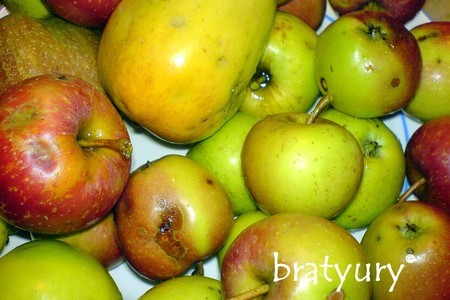 Шарлотка из свежайших диких яблок с грецкими орехами: шаг 2