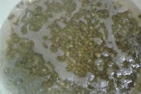 Закуска из баклажана и маша с маринованным фенхелем и моцареллой: шаг 4