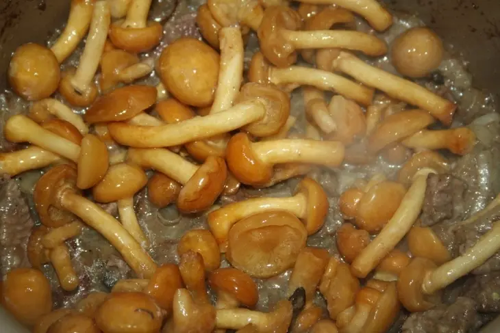 Пенне ригате с мясным соусом с грибами "аля бефстроганов": шаг 11