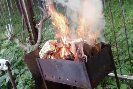 Разноцветные овощи, фаршированные мясом с дымком: шаг 1
