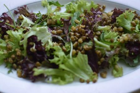 Салат с хрустящей уткой, фасолью маш и овощами: шаг 4