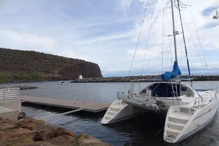 Рыба на дощечке: шаг 1