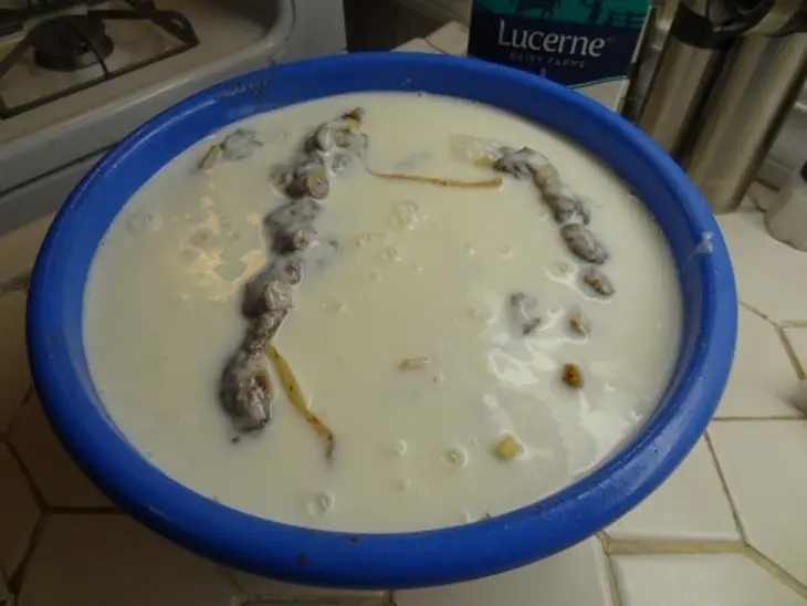 Рёбра в кефирном маринаде: шаг 4