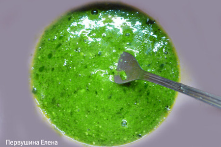 Суп с зелеными клецками: шаг 4