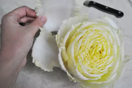 Закуска с тунцом и маслинами а-ля нисуаз в новом свете: шаг 11