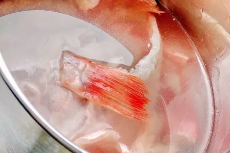Морской окунь с зеленой спаржей под овощным соусом: шаг 1