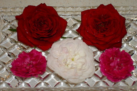 Конфеты из роз: шаг 1