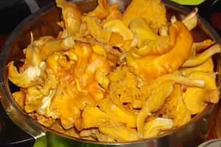 Лисички с макаронами и сыром: шаг 2