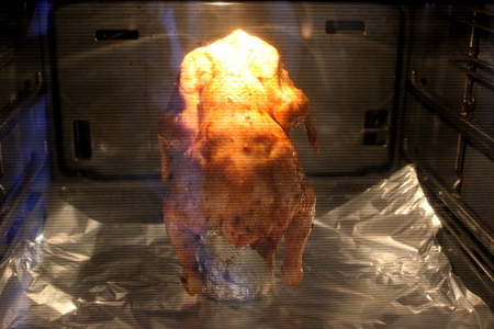 Цыпленок "под градусом" : шаг 11