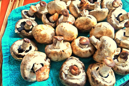 Шашлык из грибов в сметане: шаг 1