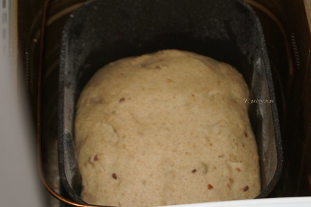 Ирландский цельнозерновой хлеб в хлебопечке: шаг 4