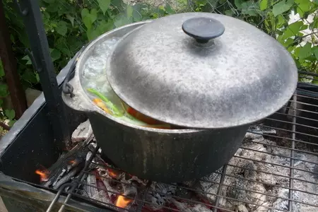 Уха из стерляди на костре.: шаг 3