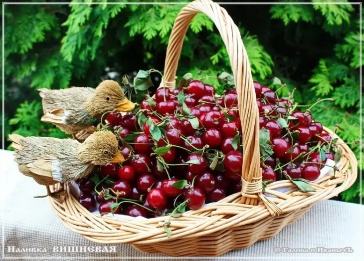 Наливка вишневая: шаг 1