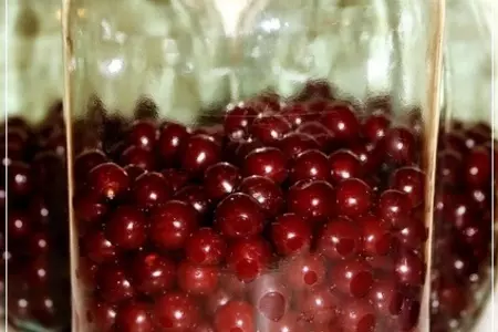 Наливка вишневая: шаг 5