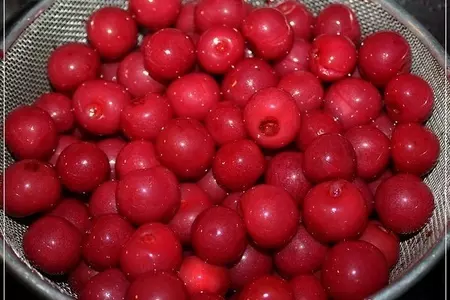 Наливка вишневая: шаг 12