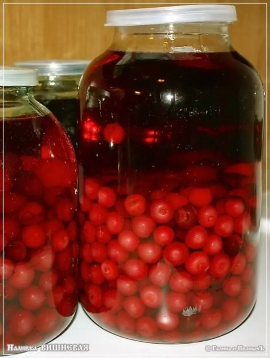 Наливка вишневая: шаг 14