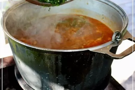 Харчо с бараниной по «принципу сулаквелидзе»: шаг 37