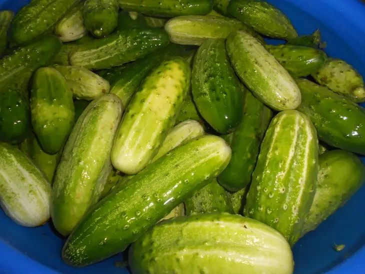 Маринованные огурцы с яблоками: шаг 1