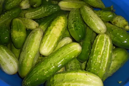 Маринованные огурцы с яблоками: шаг 1