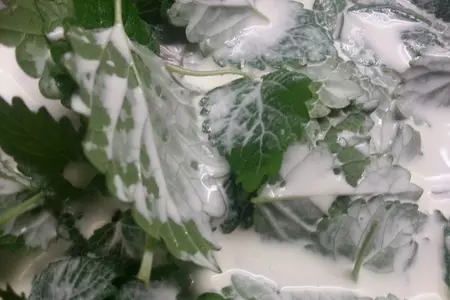 Десерт из мятных сливок с белым шоколадом и дыни: шаг 2