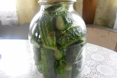 Огурцы с аспирином: шаг 3