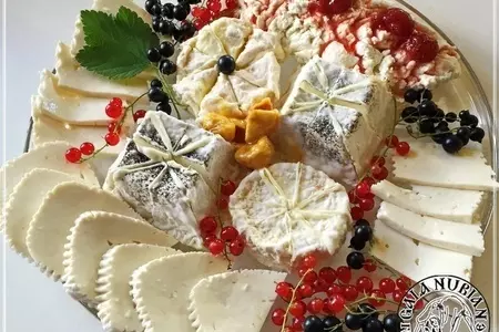 Рикотта ... сыр из сыворотки молока англо - нубийских коз: шаг 1