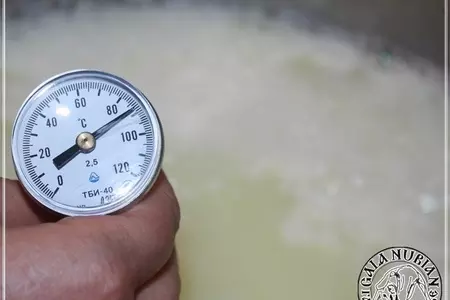 Рикотта ... сыр из сыворотки молока англо - нубийских коз: шаг 4
