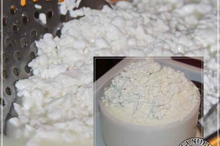 Моцарелла ... сыр из сыворотки молока англо - нубийских коз: шаг 6