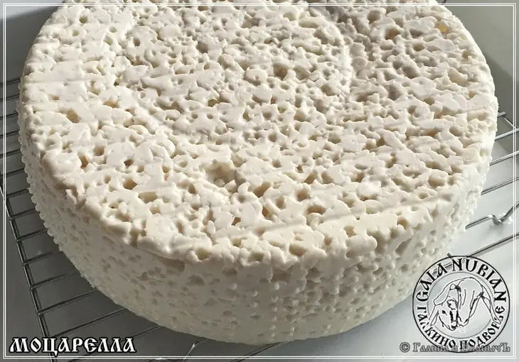 Моцарелла ... сыр из сыворотки молока англо - нубийских коз: шаг 8