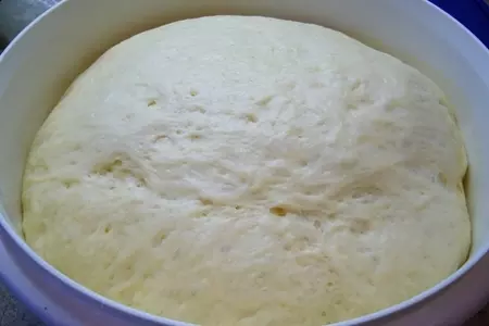Пирог с курицей и шампиньонами (тест-драйв): шаг 6
