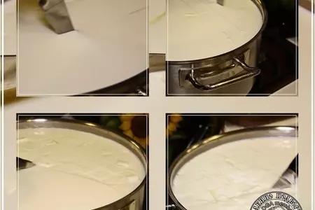 Сыр халуми и анари ... из молока англо-нубийских коз: шаг 6