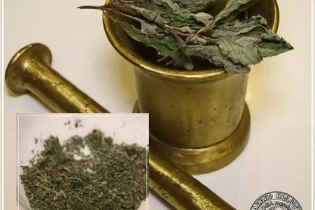 Сыр халуми и анари ... из молока англо-нубийских коз: шаг 25