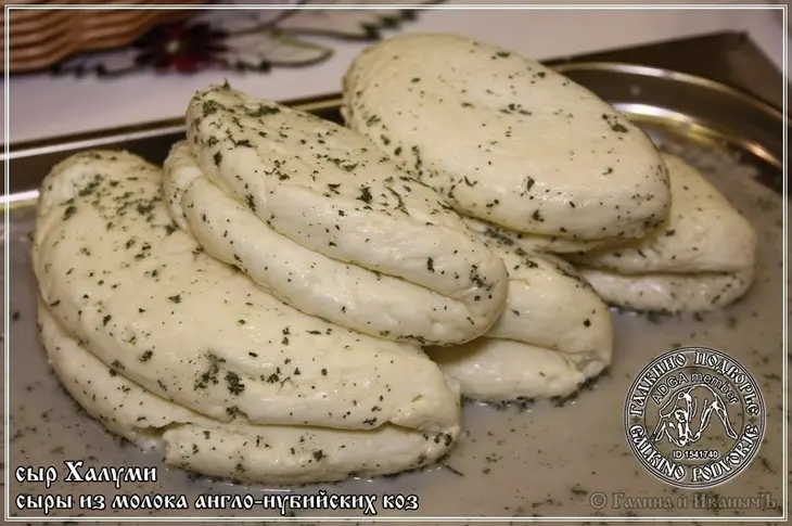 Сыр халуми и анари ... из молока англо-нубийских коз: шаг 30