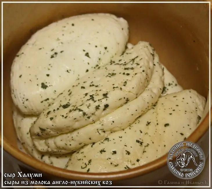 Сыр халуми и анари ... из молока англо-нубийских коз: шаг 31