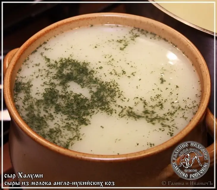 Сыр халуми и анари ... из молока англо-нубийских коз: шаг 33