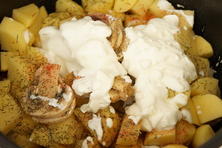 Рагу с картофелем, грибами и краковской колбасой. тест-драйв с окраиной: шаг 6