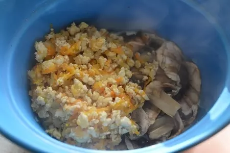 Запеканка из шампиньонов с курицей: шаг 4