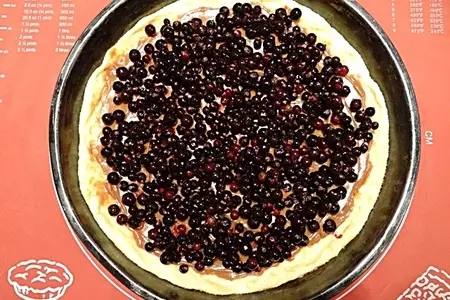 Пирог с вареным сгущенным молоком и смородиной: шаг 9