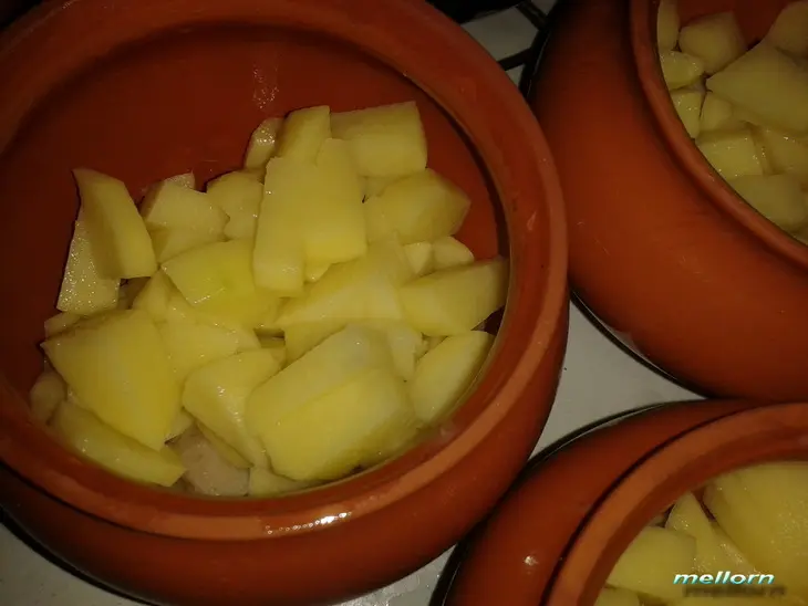 Жаркое в горшочках  из свинины с грибами и овощами: шаг 2