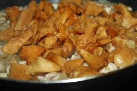 Галантин из курочки с лисичками: шаг 8