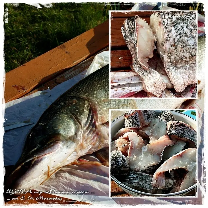 Щука, под&nbsp;жолтым соусом с&nbsp;шафраном: шаг 5