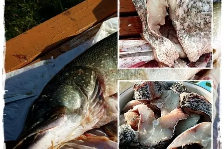 Щука, под&nbsp;жолтым соусом с&nbsp;шафраном: шаг 5