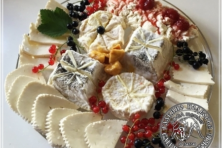 Сыр кроттен … из молока англо-нубийских коз: шаг 1